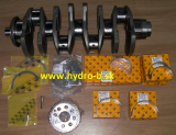 Klukovy hriadel s loziskami motora DIESELMAX 3CX 4CX 320/09244