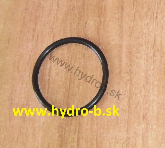 O krúžok prevodovky 3CX 4CX 828/00224