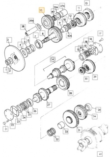 Ozubene koleso prevodovky 35T 445/19001, 445/03032